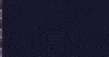 French Terry Kombi Wellen What the Duck von Thorsten Berger by Swafing